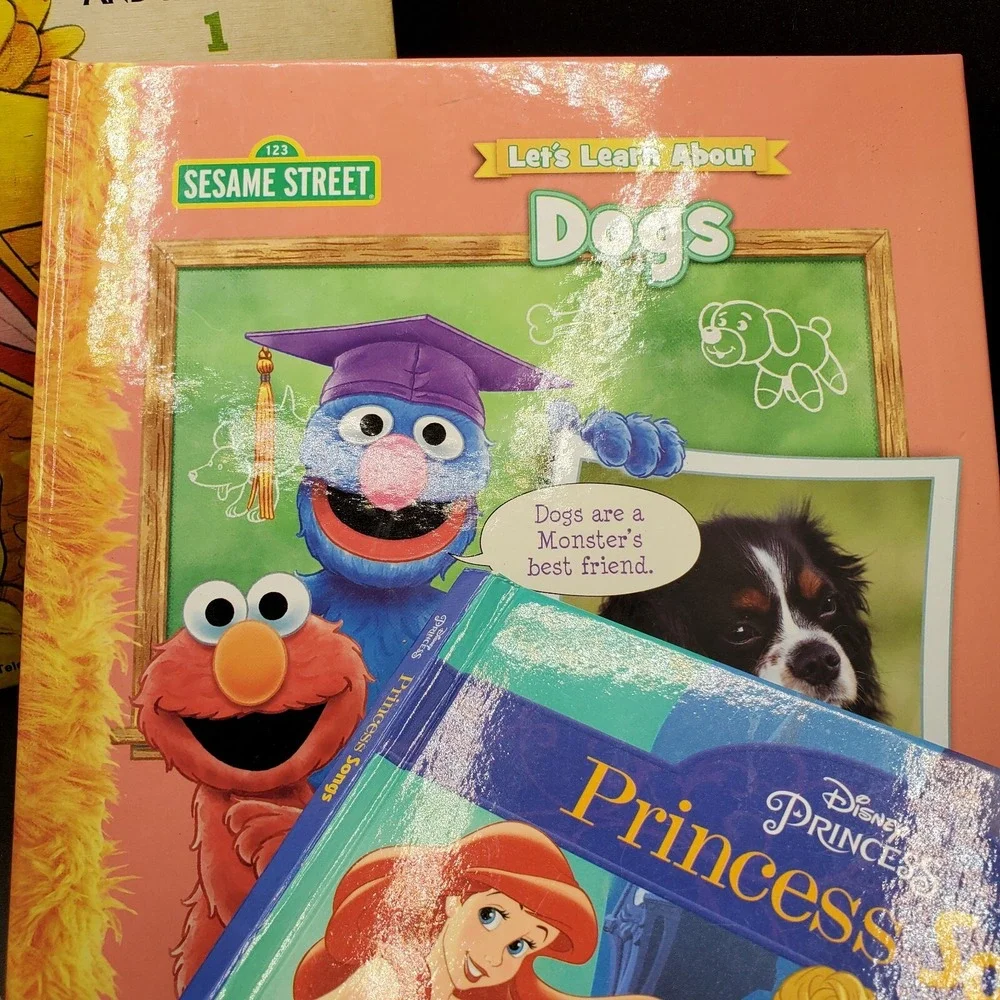 Children lot of 6 books 2 board, Nascar, Disney Princess, Sesame Street hardback